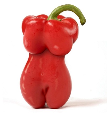 Wonder van de natuur Wonder van de natuur