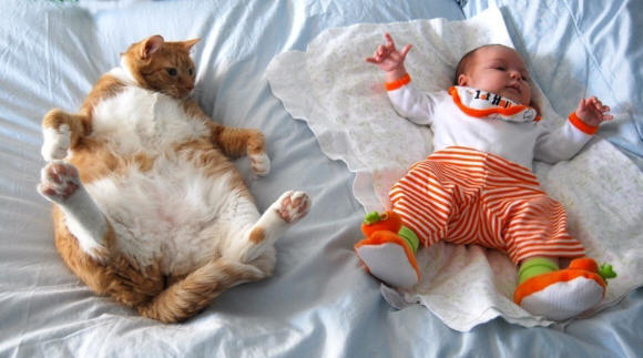 Kat en baby Kat en baby