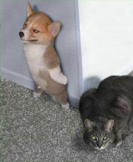 I gonna scare the hell out of you I gonna scare the hell out of you