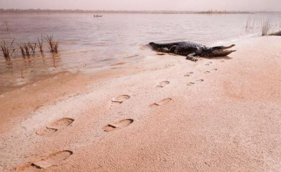 Where did this person go?